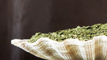 Ofte stilte spørsmål